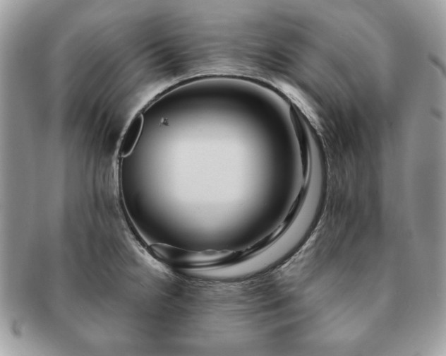 X0000091191238200708161543