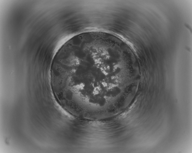 X0000091191239200708161543