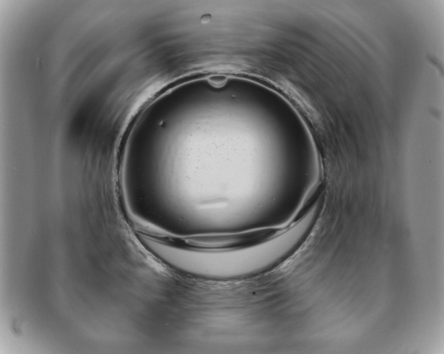 X0000091191240200708161543