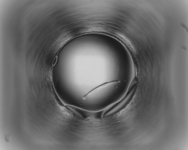 X0000091191241200708161543