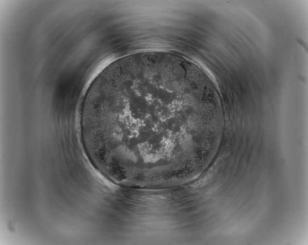 X0000091191243200708161543