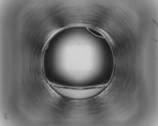 X0000091191244200708161543