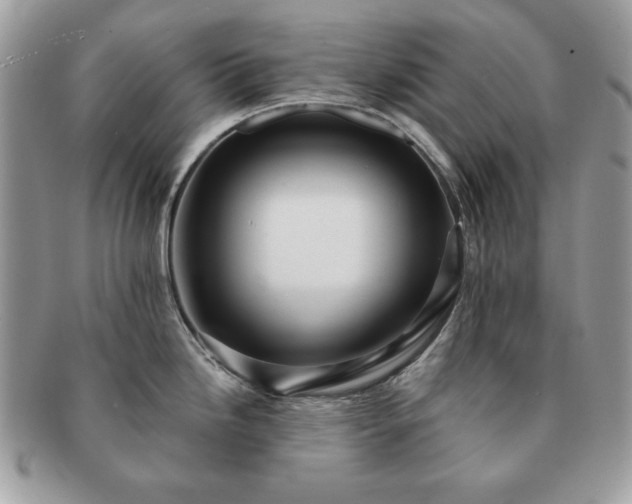 X0000091191246200708161543