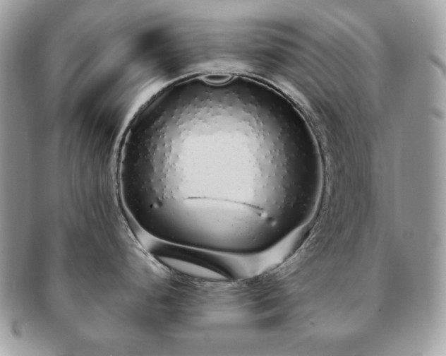 X0000091191248200708161543