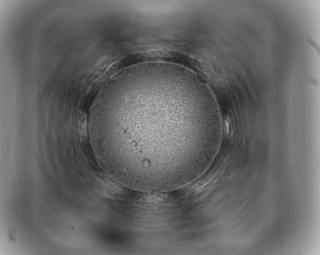 X0000091191251200708161542