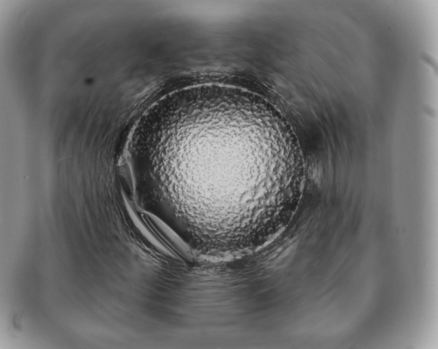X0000091191252200708161542