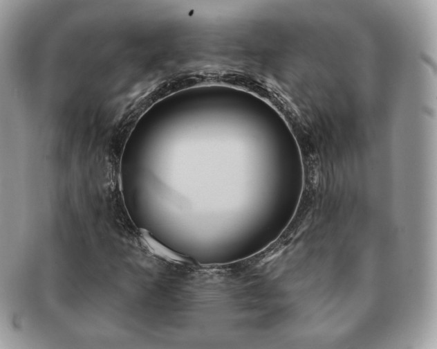 X0000091191253200708161542