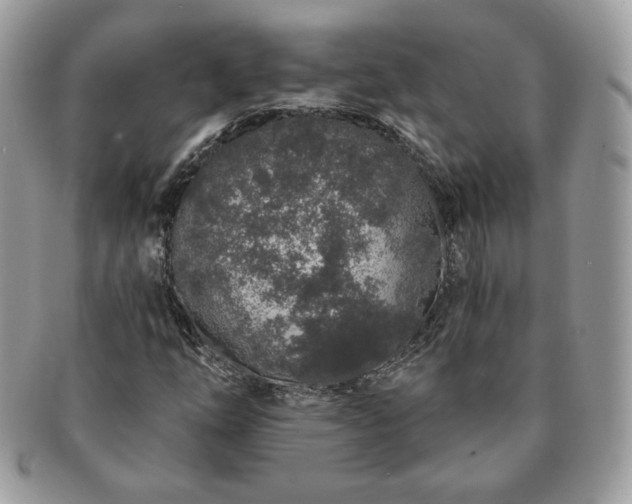 X0000091191254200708161542