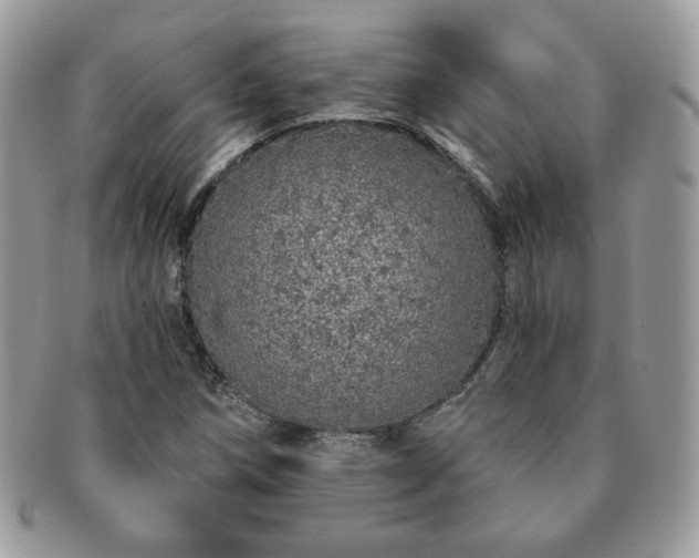 X0000091191258200708161542