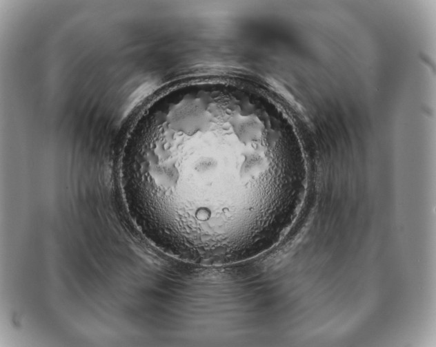 X0000091191259200708161542