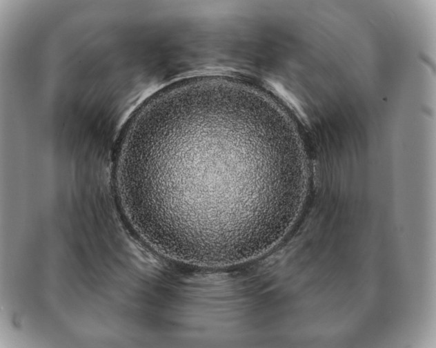 X0000091191260200708161542