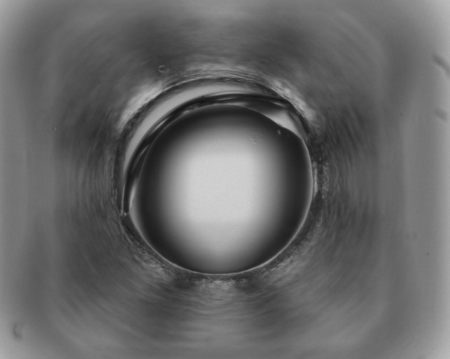 X0000091191261200708161542