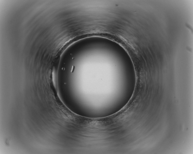 X0000091191265200708161542