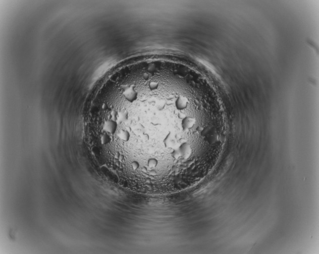 X0000091191267200708161542