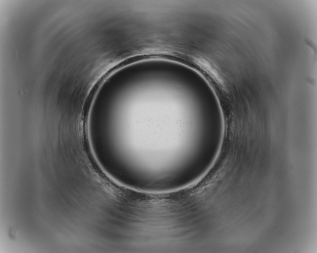 X0000091191268200708161542