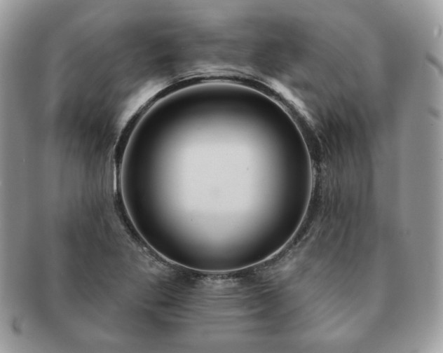 X0000091191269200708161542