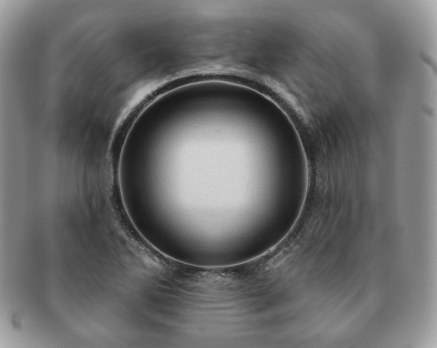 X0000091191270200708161542