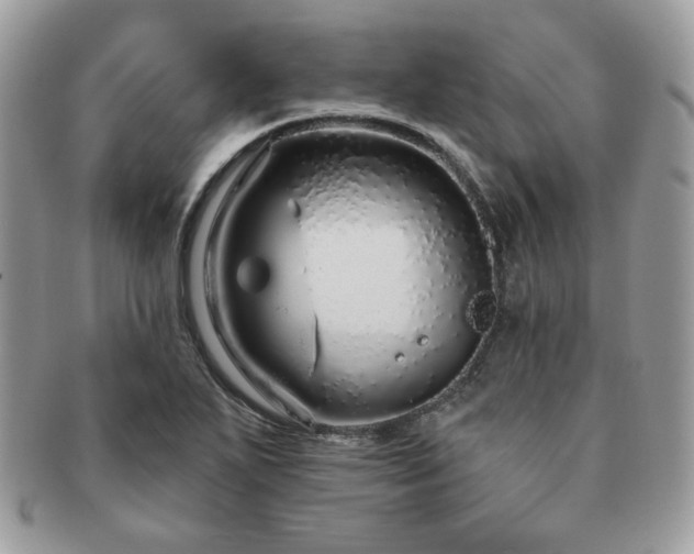 X0000091191271200708161542