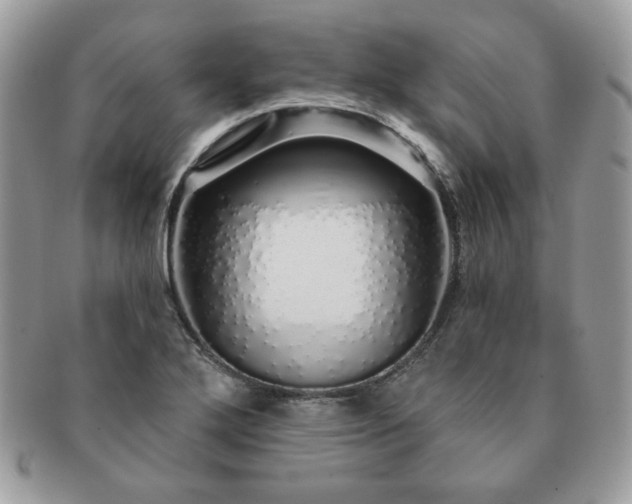 X0000091191272200708161542