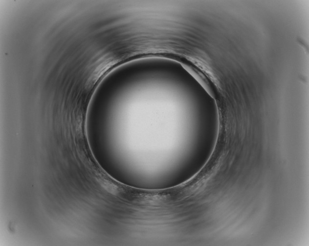 X0000091191273200708161542
