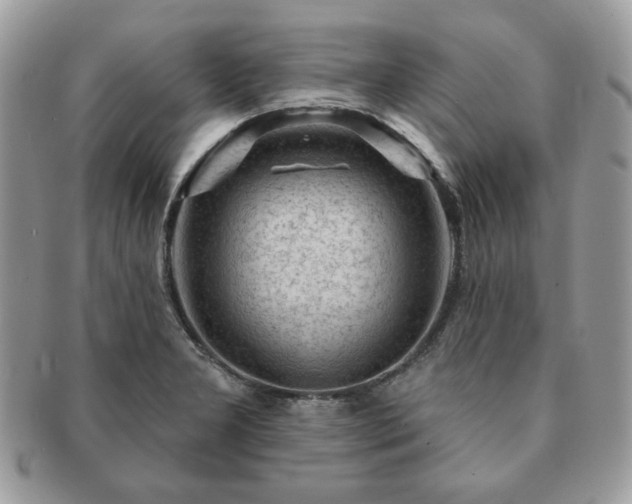 X0000091191277200708161542