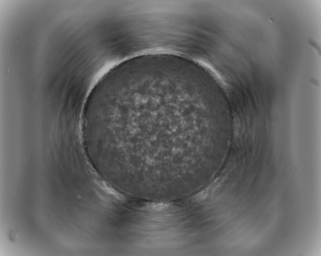 X0000091191278200708161542