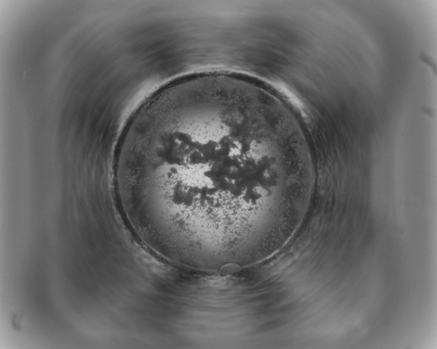 X0000091191279200708161542