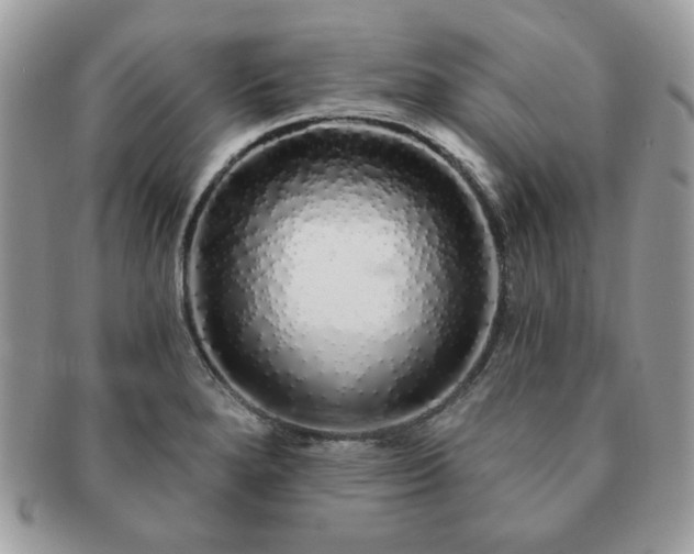 X0000091191280200708161542