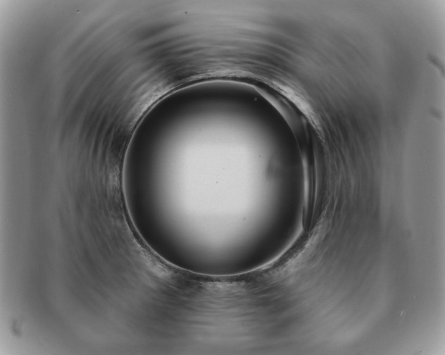 X0000091191281200708161542