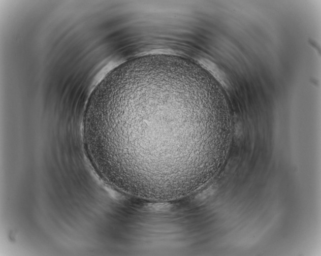 X0000091191282200708161542