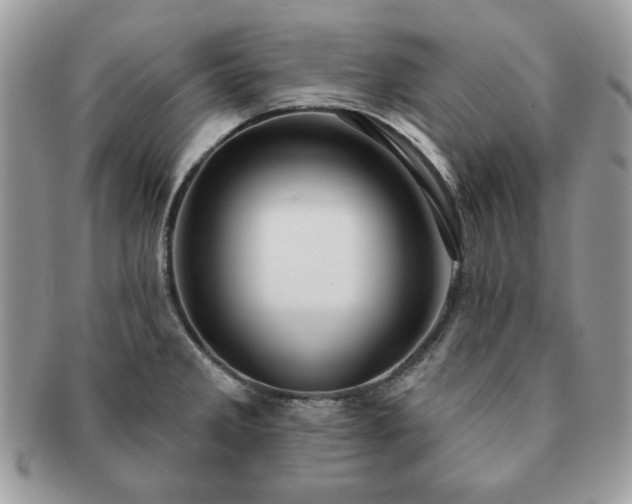 X0000091191285200708161542