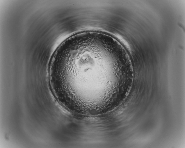 X0000091191287200708161542