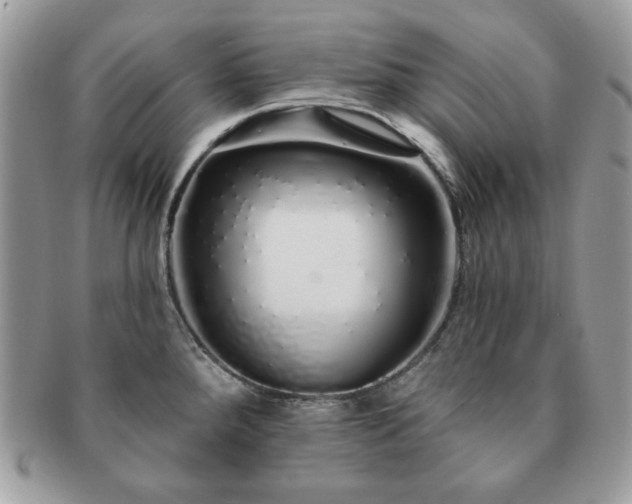 X0000091191288200708161542