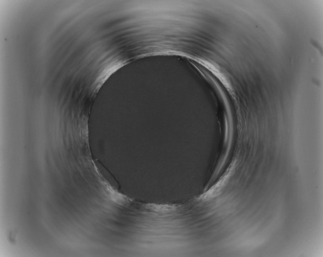 X0000091191289200708161542