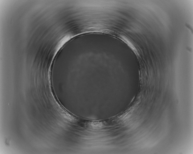 X0000091191291200708161542