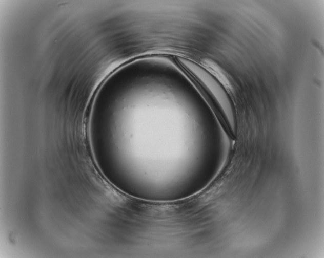 X0000091191292200708161542