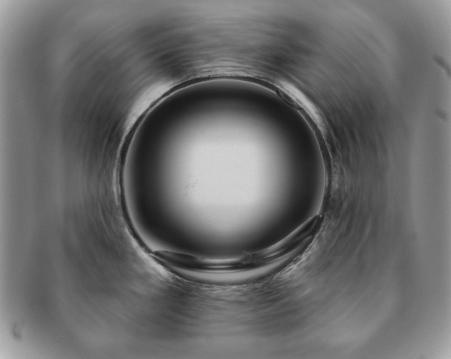 X0000091191293200708161541