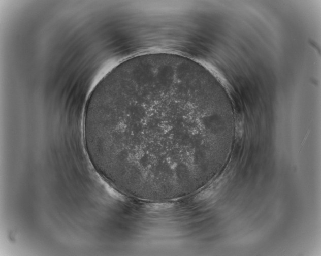 X0000091191294200708161541