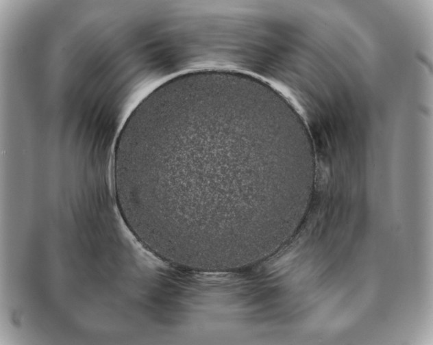 X0000091191295200708161541