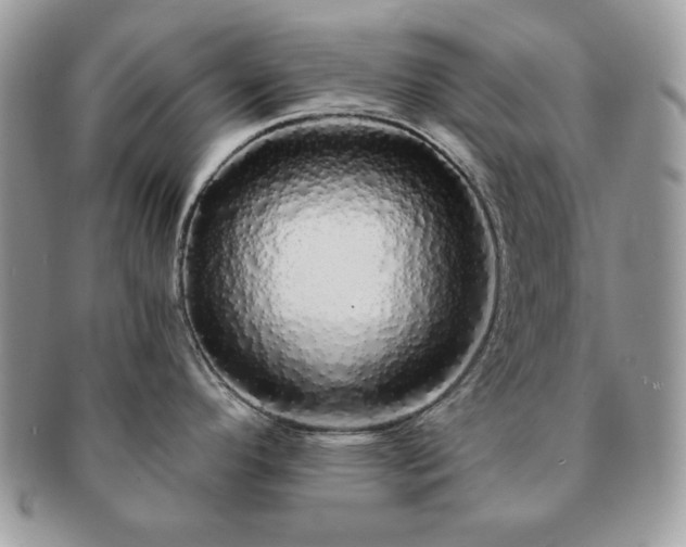 X0000091191296200708161541