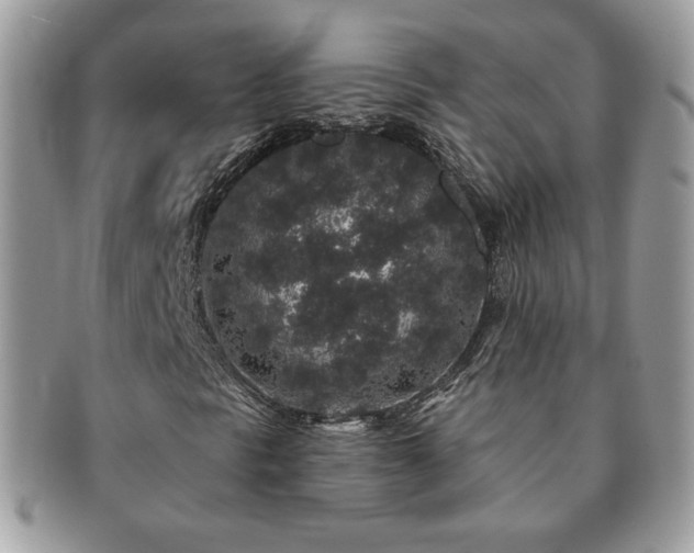 X0000091191297200708161541