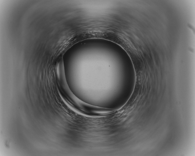X0000091191298200708161541