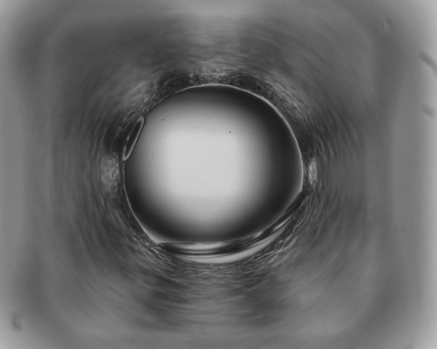 X0000091191299200708161541