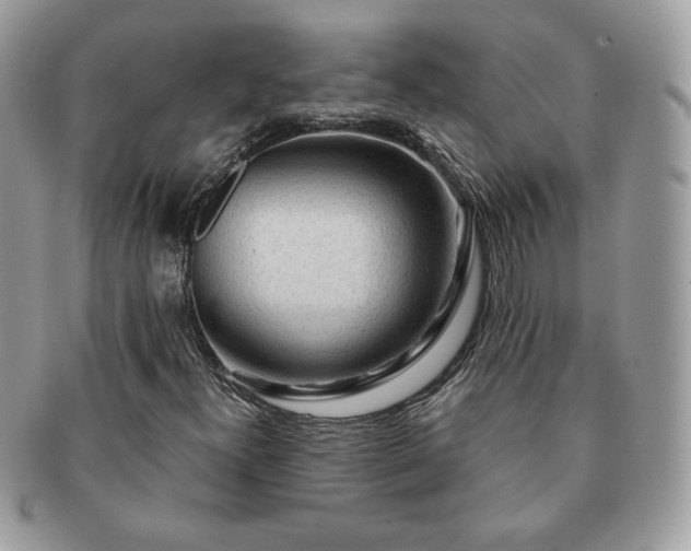 X0000091191300200708161541