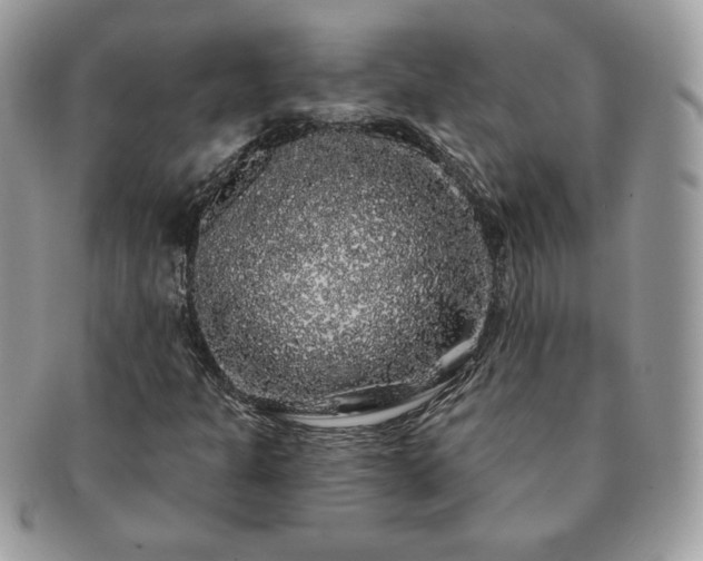 X0000091191301200708161541
