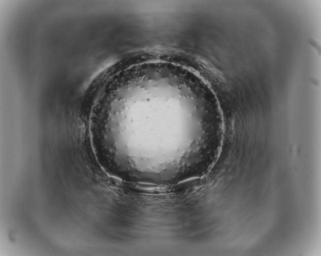 X0000091191302200708161541