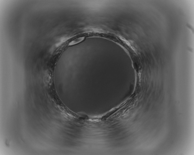 X0000091191303200708161541