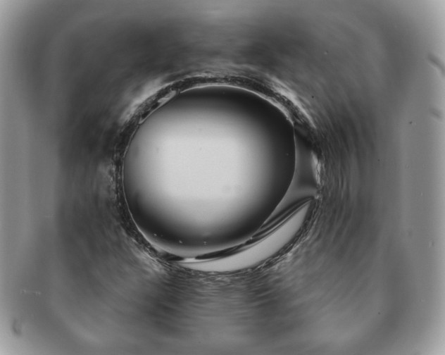 X0000091191304200708161541