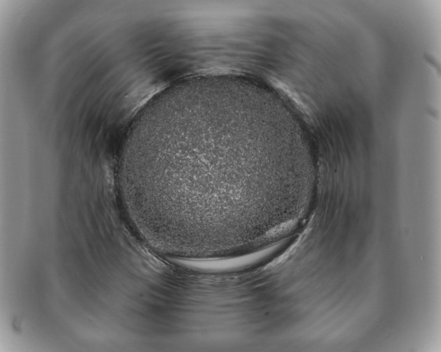 X0000091191305200708161541