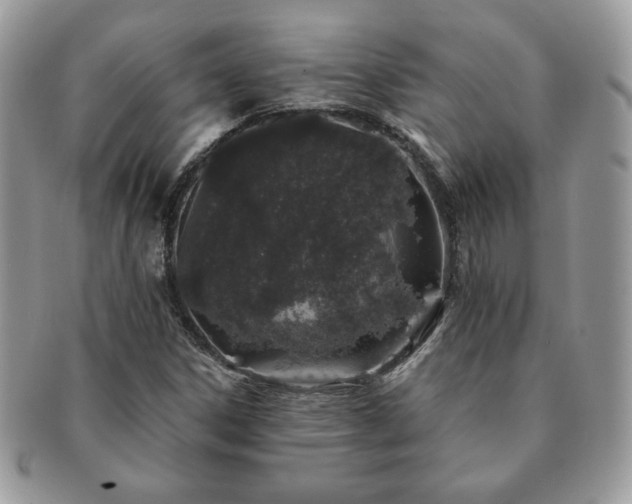 X0000091191306200708161541